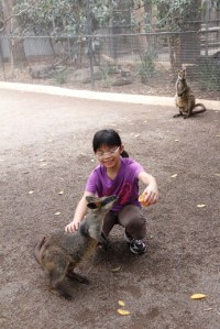 R feeding wallaby