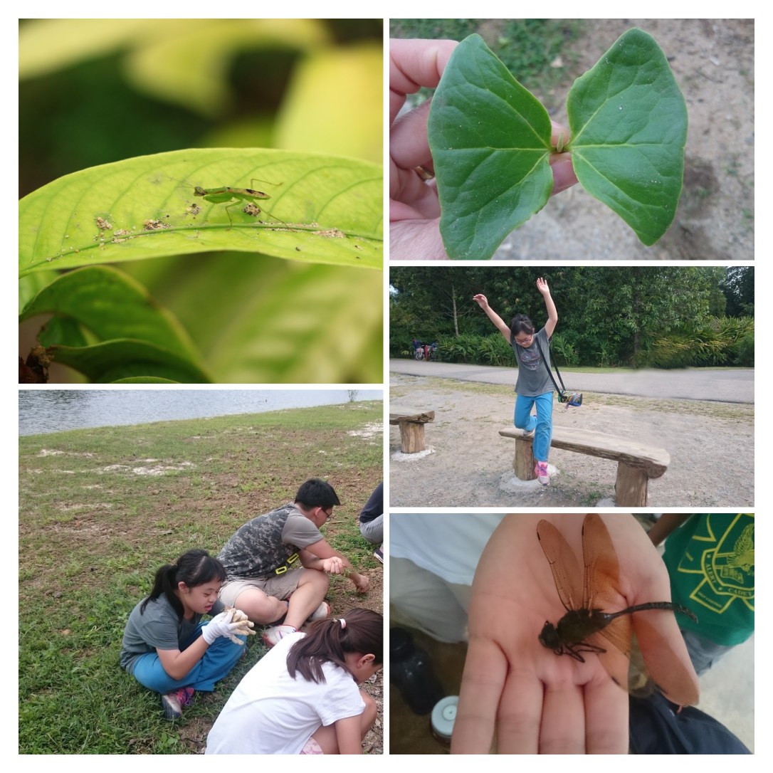 Active collage 3.jpg