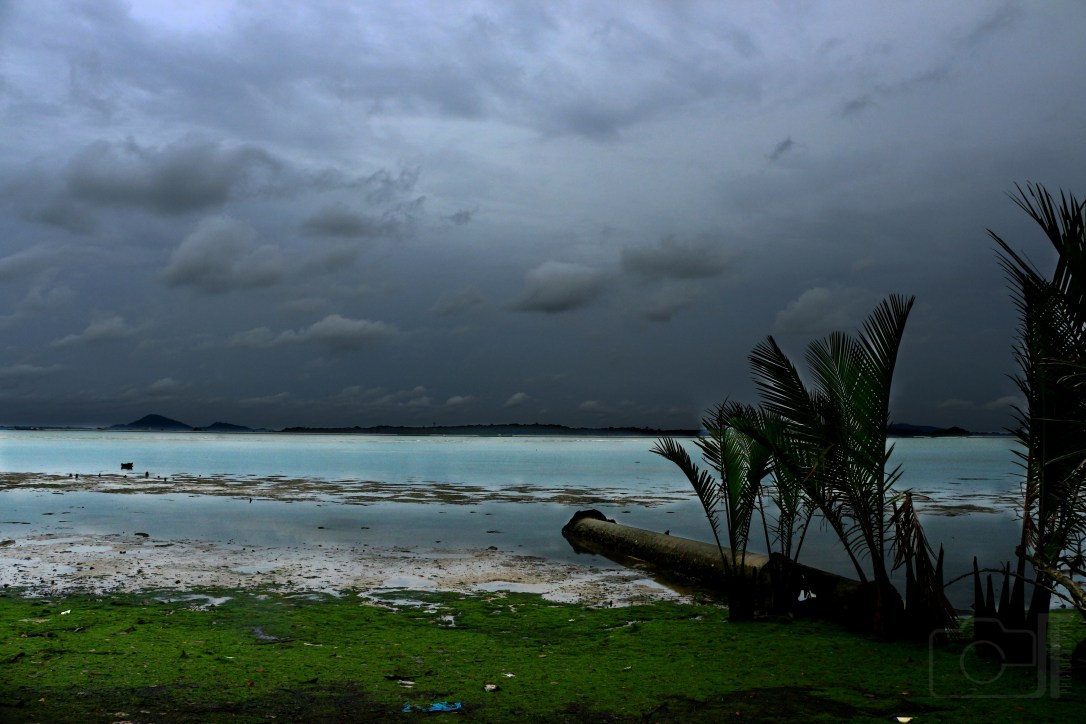 IMG_4198 edited logo.jpg