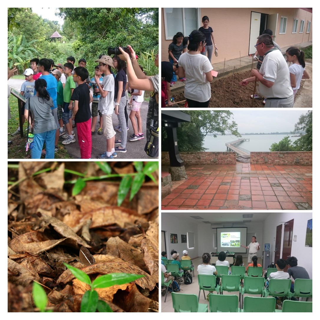 Passionate Collage.jpg