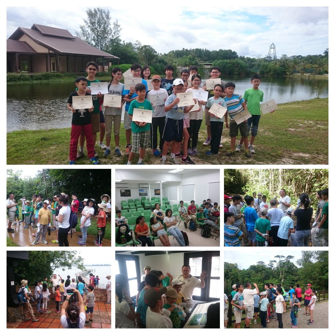 Understanding Collage.jpg