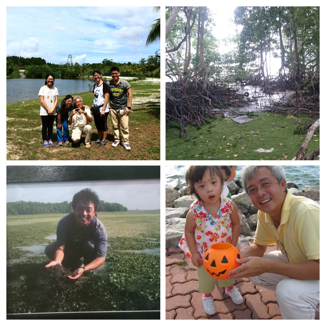 Urbanization collage 2.jpg